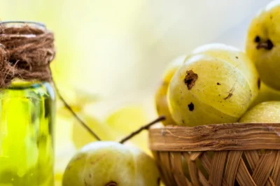 Amla The Superfruit Secrets to Health and Happiness