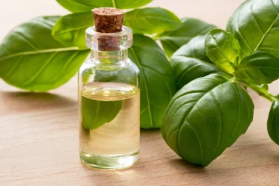 The Magic of Basil Oil: A Simple Addition to Your Health