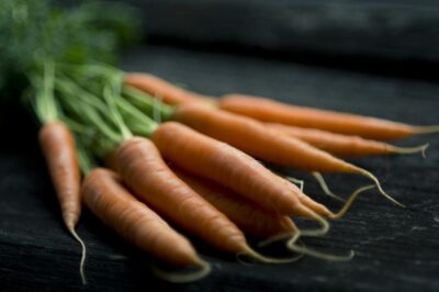 The Crunchy Marvel: The Wonders of Carrots in Simple Terms